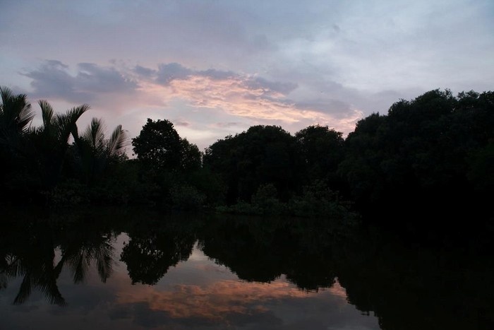 khung canh ca mau